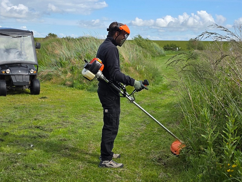 P&J Garten- und Gebäudeservice aus Albersdorf P&J Garten- und Gebäudeservice aus Albersdorf