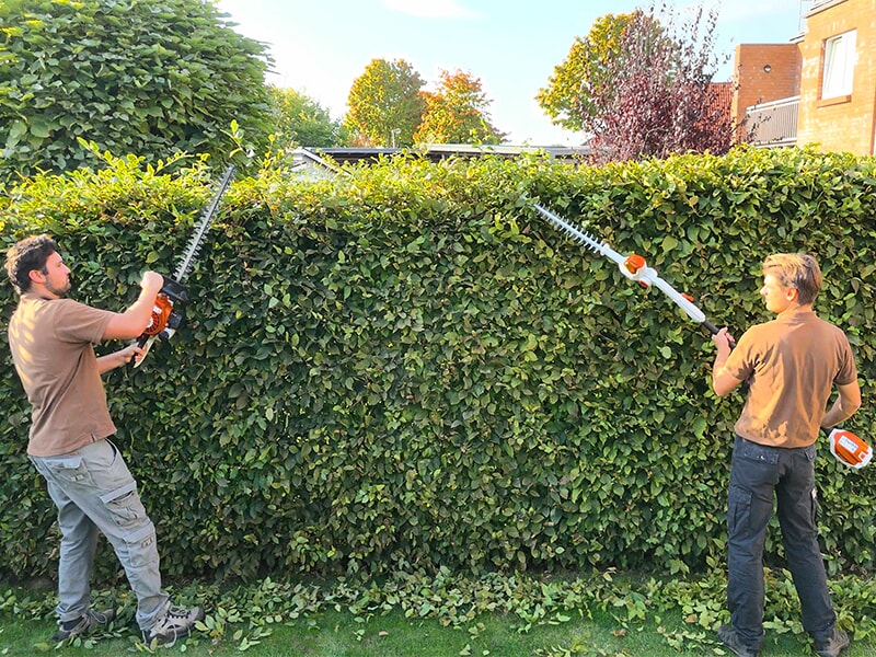 P&J Garten- und Gebäudeservice aus Albersdorf