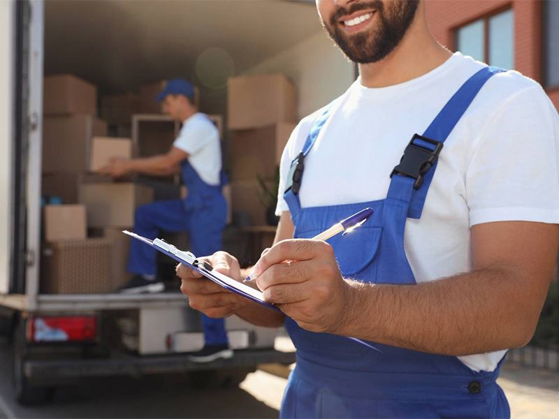 Mansoura Logistic Solutions aus Albersdorf