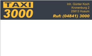 Taxi Anruf 3000 Taxiunternehmen in Schobüll Stadt Husum - Logo