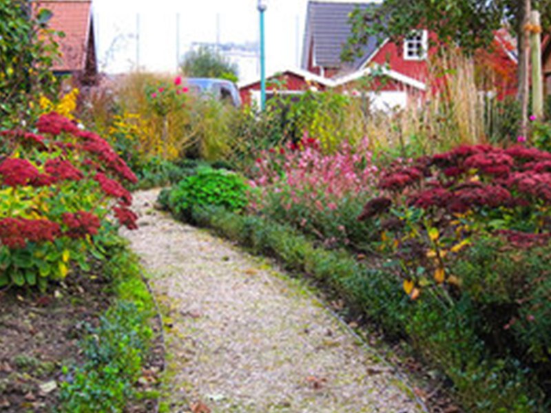 Geerkens Gartenbau aus Friedrichskoog