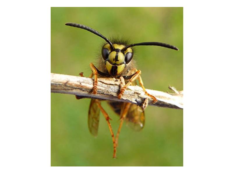 Nitor GmbH aus Trittau Nitor GmbH aus Trittau