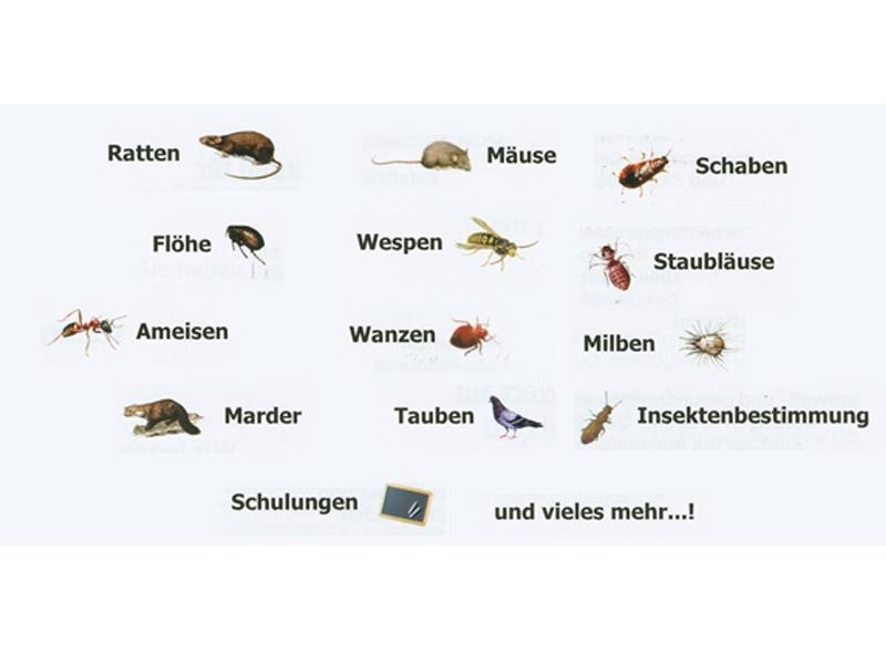 Nitor GmbH aus Trittau Nitor GmbH aus Trittau