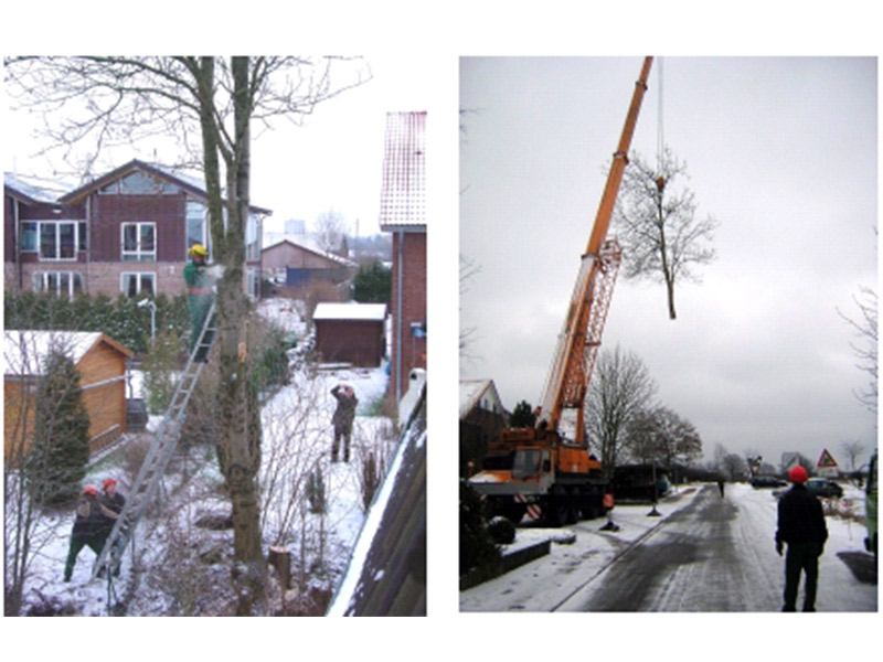 Thies Bornstedt aus Ottendorf Thies Bornstedt aus Ottendorf