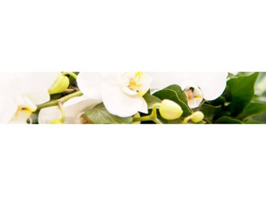 Linde Bestattungen e.K. aus Heikendorf Linde Bestattungen e.K. aus Heikendorf