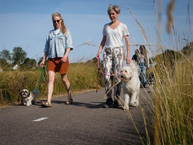 I Speak DOG mit Anna aus Kiel