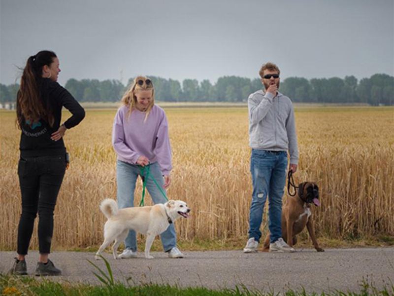 I Speak DOG mit Anna aus Kiel