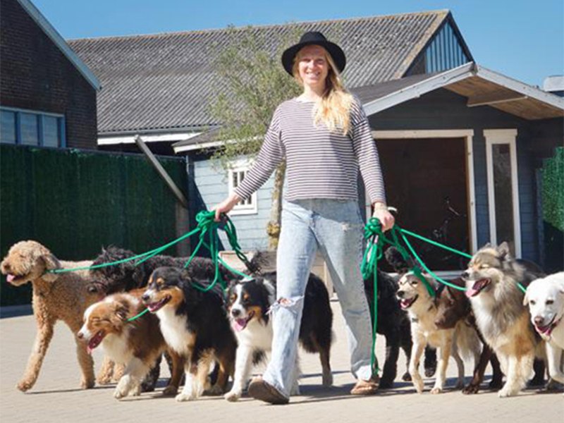 I Speak DOG mit Anna aus Kiel