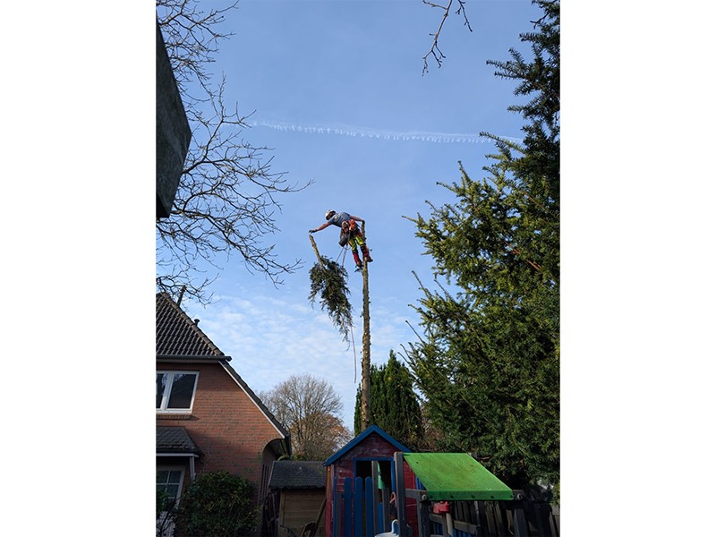 Baumpflege Winkelmann aus Bordesholm