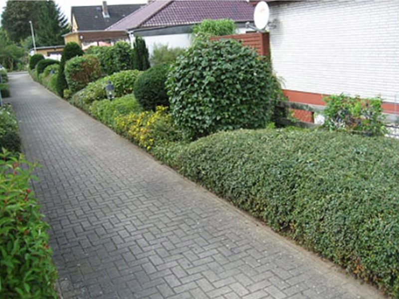 Ralph Möller aus Hamdorf