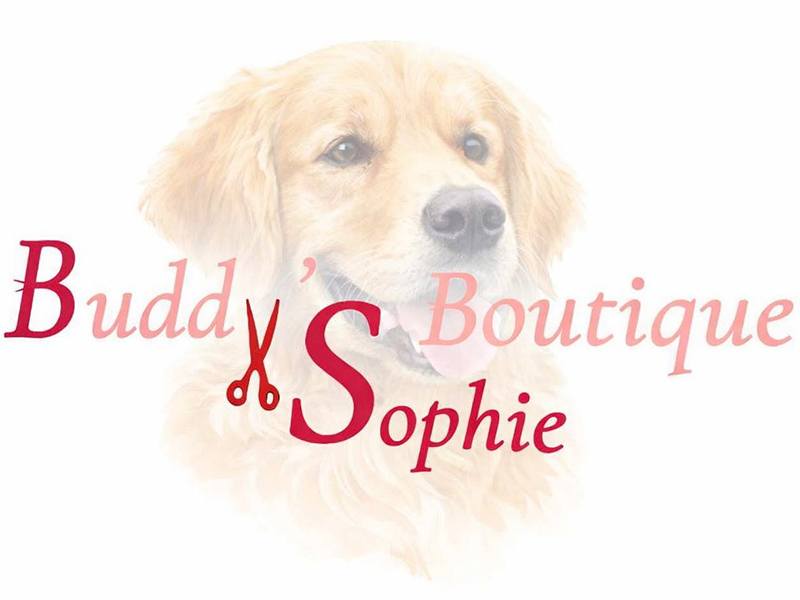 Buddy’s Boutique aus Hohn
