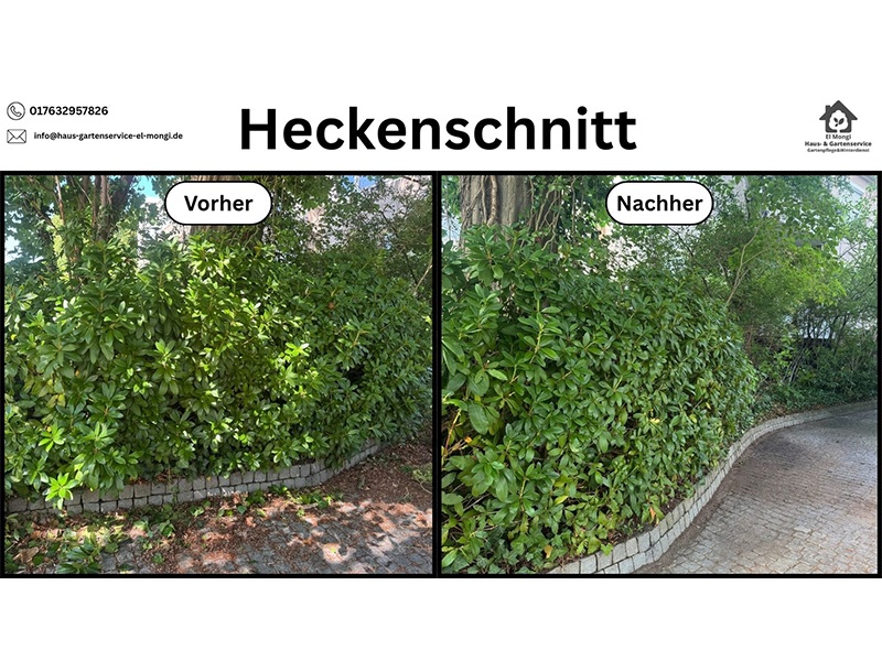 Haus- & Gartenservice El Mongi aus Felde