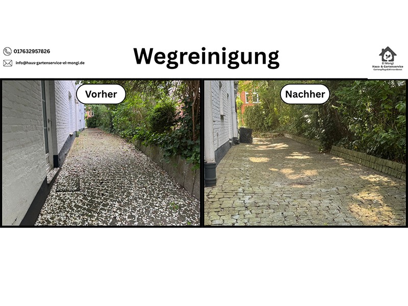 Haus- & Gartenservice El Mongi aus Felde