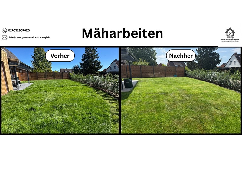 Haus- & Gartenservice El Mongi aus Felde