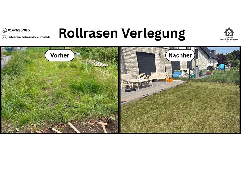 Haus- & Gartenservice El Mongi aus Felde