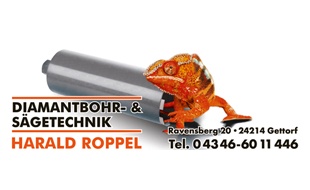 Diamantbohr- und Sägetechnik Harald Roppel e.K. in Gettorf - Logo