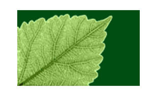 Teilnehmer-Logo
