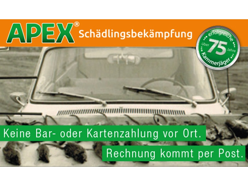 APEX Schädlingsbekämpfung in Kiel - Logo