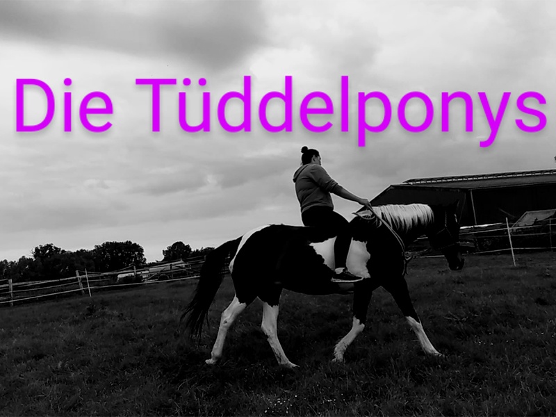 Fair zum Pferd - Die Tüddelponys aus Lebrade Fair zum Pferd - Die Tüddelponys aus Lebrade