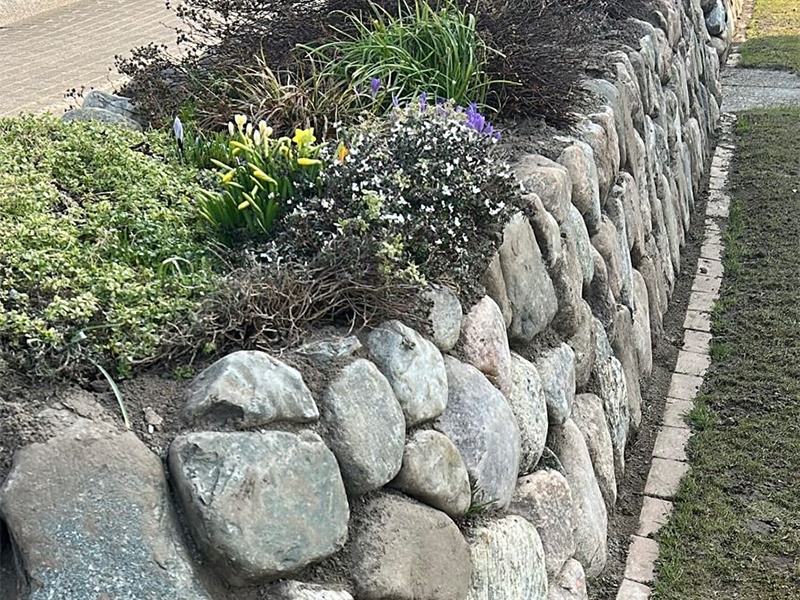 Friesenwall Nord aus Nienborstel