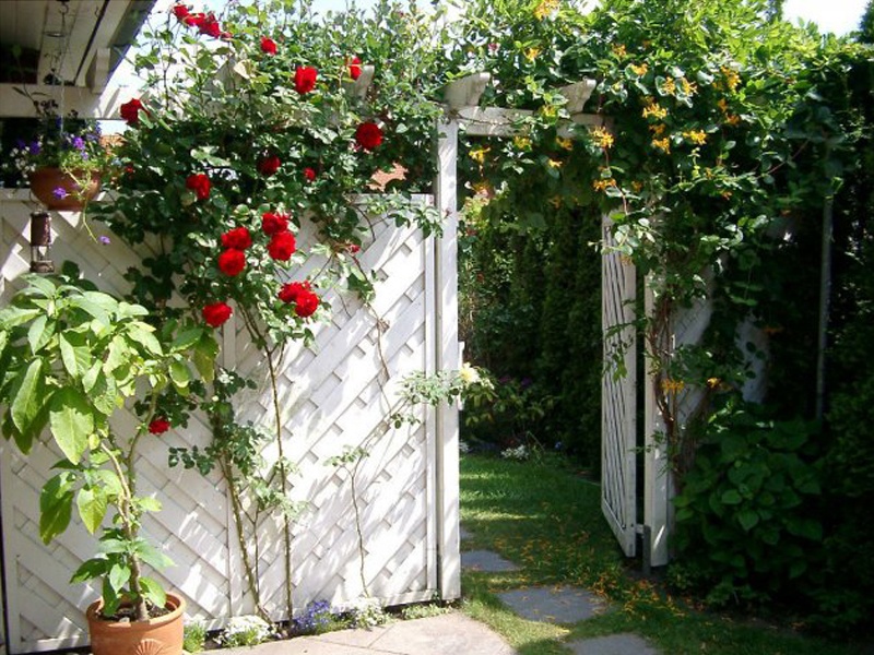 Rolf Westphal Garten- aus Lübeck