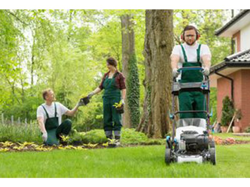 Hanseatic Gebäudedienste GmbH aus Lübeck