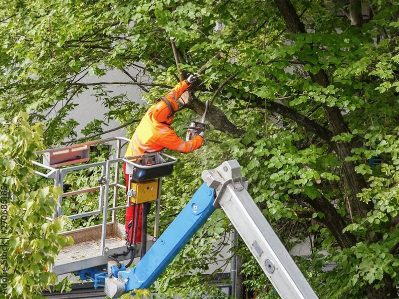 Ekhard Bruhn aus Stockelsdorf Ekhard Bruhn aus Stockelsdorf