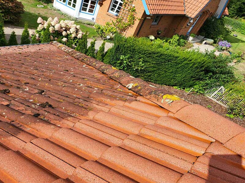 Schubert Garten- und aus Lübeck