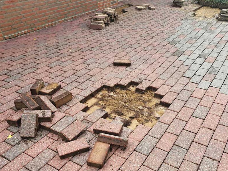 Schubert Garten- und aus Lübeck