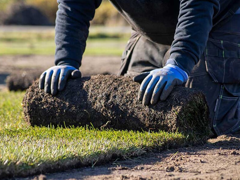 Schubert Garten- und aus Lübeck