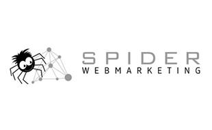 Spiderwebmarketing - Stefanie Schröer in Ahrensbök - Logo