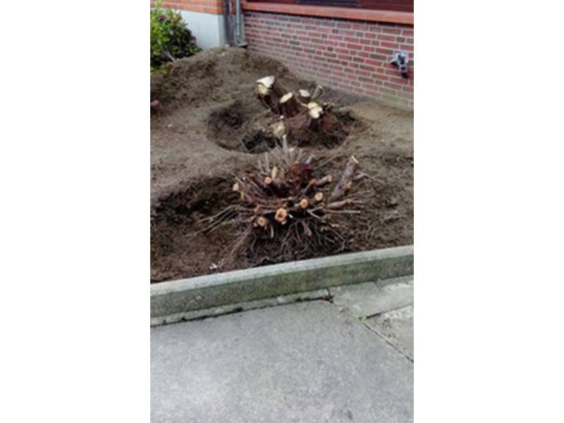 Landtechnischer Service Dassendorf Landtechnischer Service Dassendorf