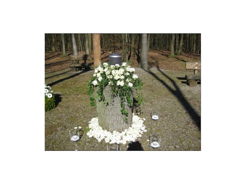 Bestattungen Hinsch aus Hoisdorf