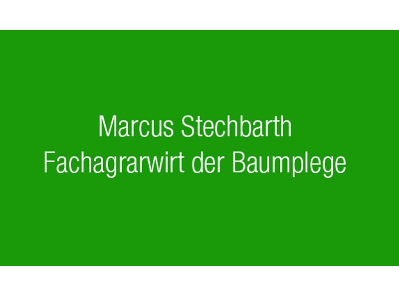 Baumpflege Stechbarth aus Geesthacht