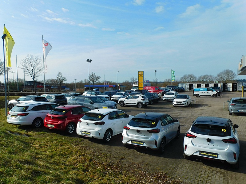 Autohaus Lauenburg GmbH & Co KG aus Lauenburg