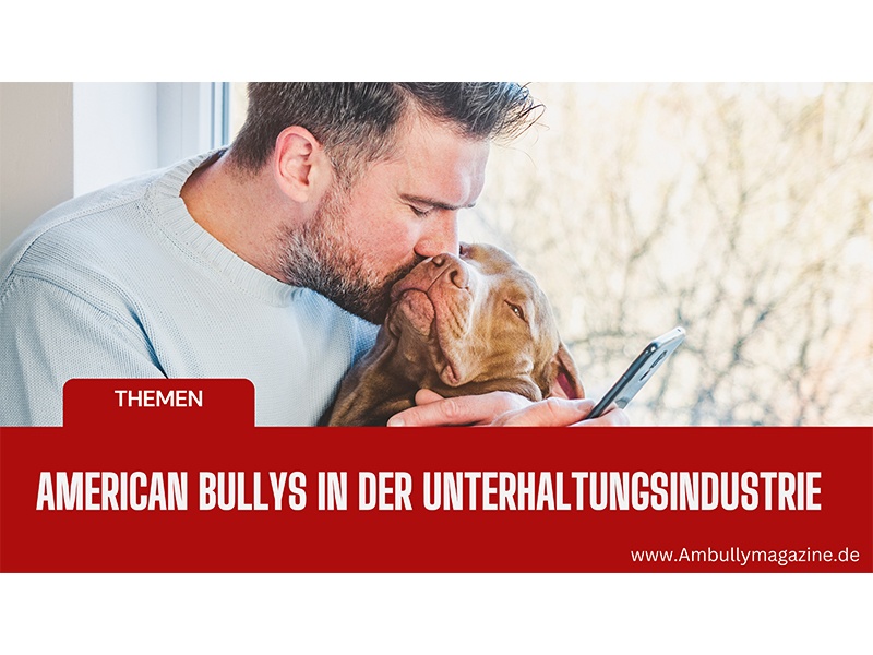 Bullyion American Bully Magazine aus Winsen