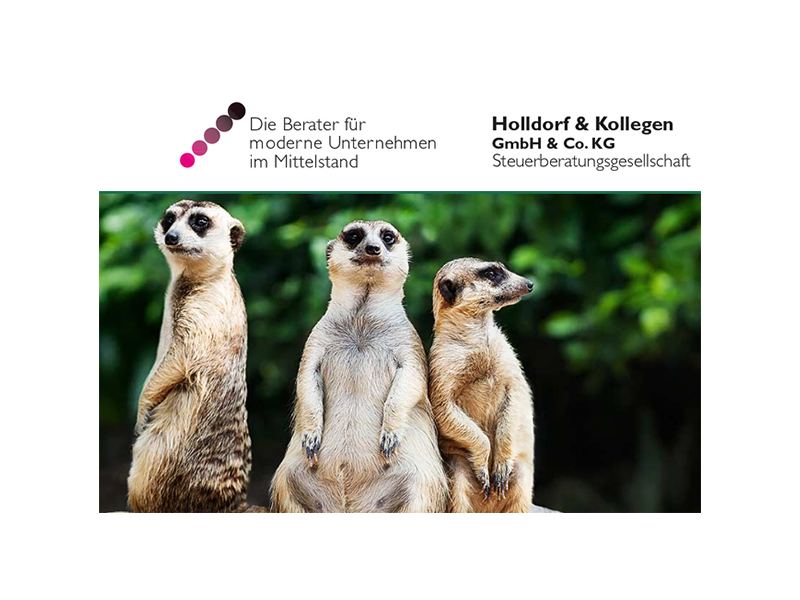 Holldorf & Kollegen GmbH & Co. KG aus Bad Oldesloe