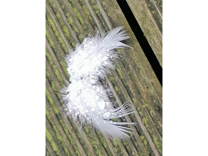 Jolanta-Helene Ahlers aus Bad Oldesloe