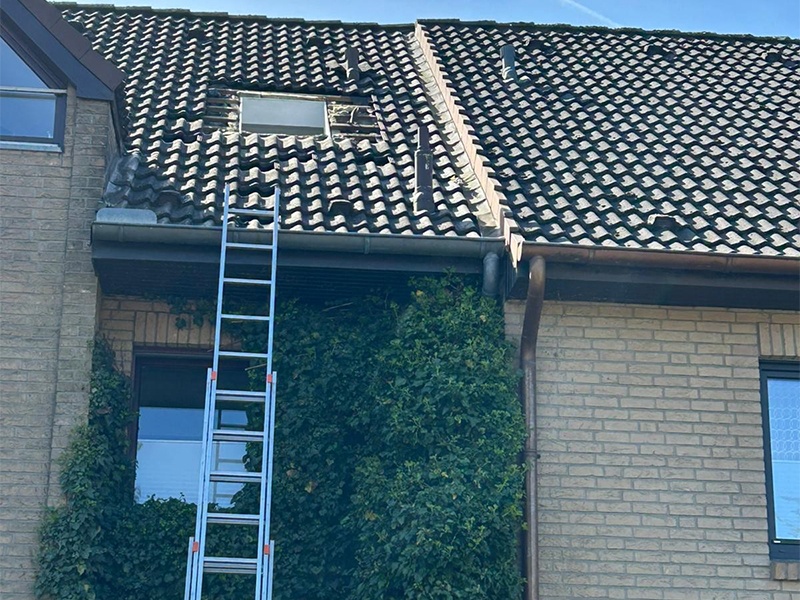 Martini Bauservice aus Elmenhorst