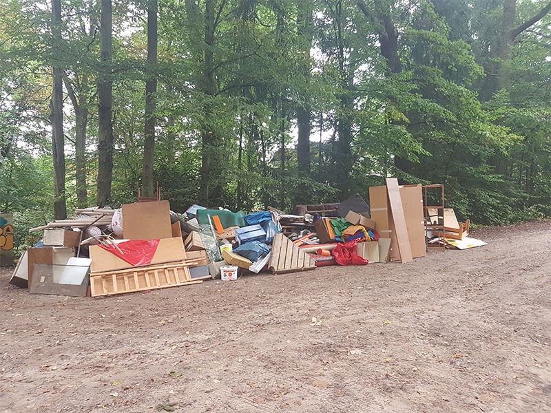 Dienstleistungen DS aus Mölln