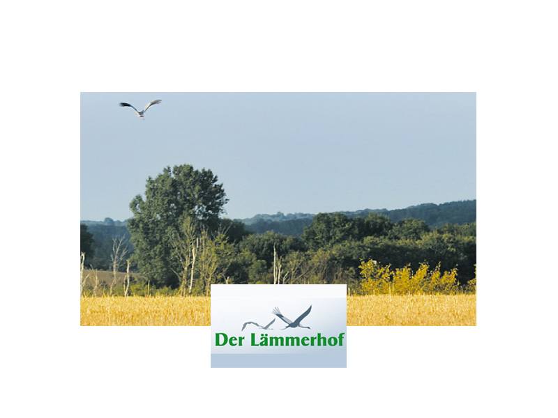 BioMarkt Lämmerhof & Hofladen Christian & Vincent Brüggemann GbR in Panten - Logo
