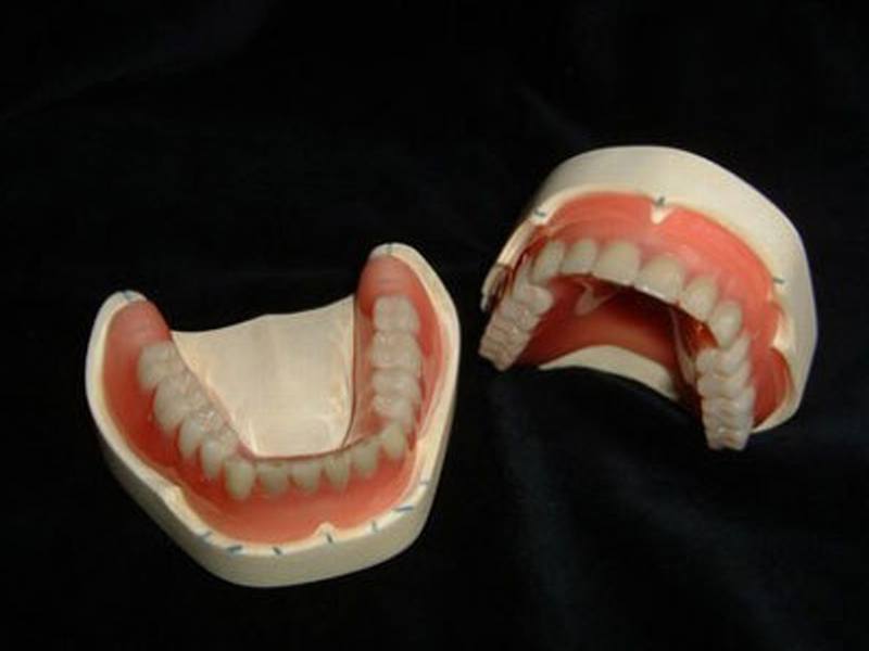 Dentallabor Segeberg GmbH aus Bad Segeberg Dentallabor Segeberg GmbH aus Bad Segeberg