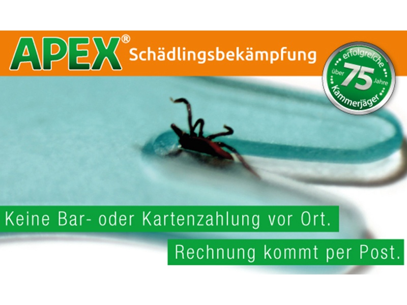 APEX Schädlingsbekämpfung in Elmshorn - Logo
