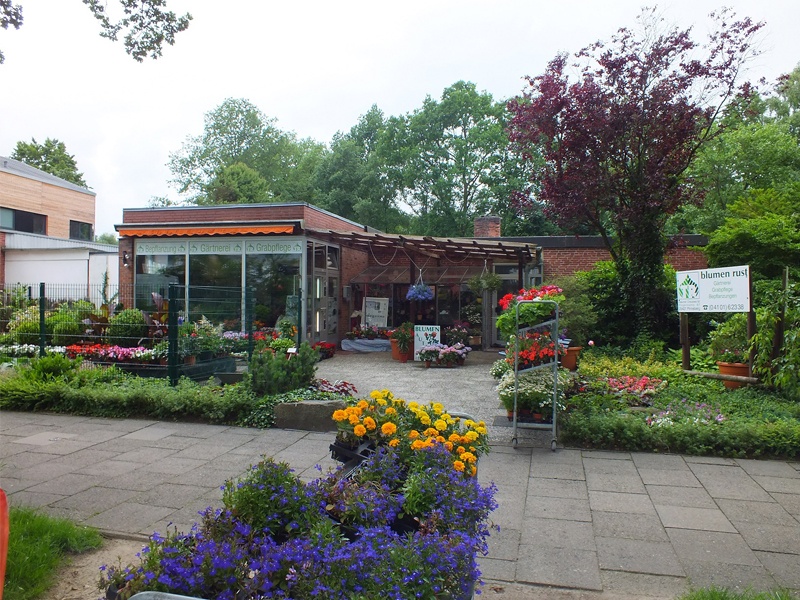 Blumen Rust aus Pinneberg