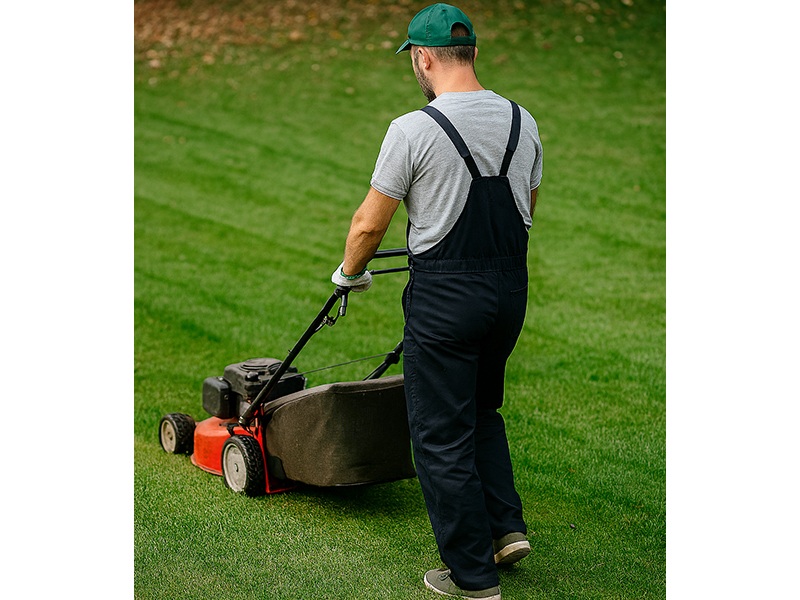 B.S. FACILITY SERVICES - aus Wedel B.S. FACILITY SERVICES - aus Wedel