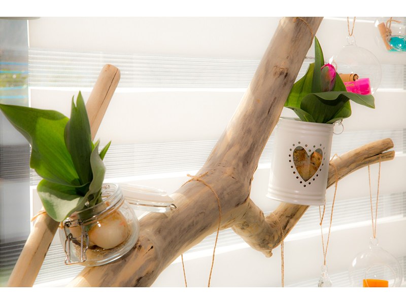 SH Coaching Systeme aus Uetersen SH Coaching Systeme aus Uetersen