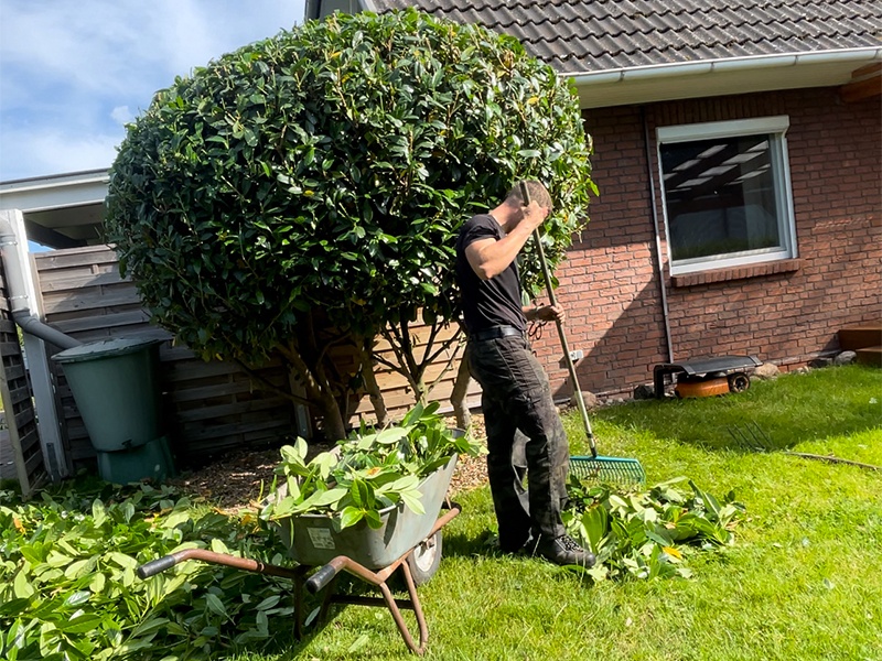 LDM-Services aus Uetersen