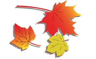 Teilnehmer-Logo