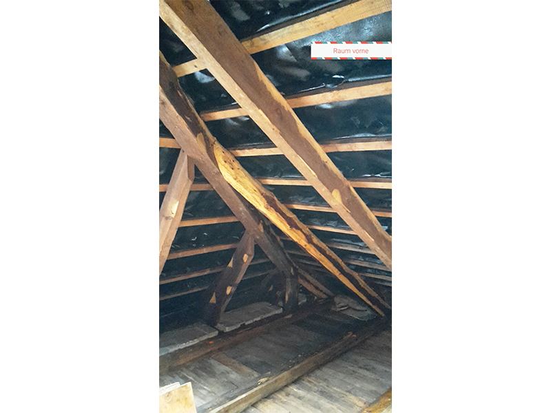 Hausbockbefall - Abbeilungen an Dachsparren