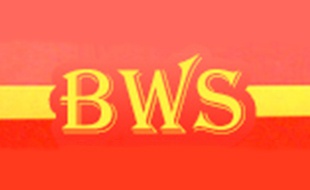 BWS Transport GmbH Containerdienst Transport in Schenefeld - Logo